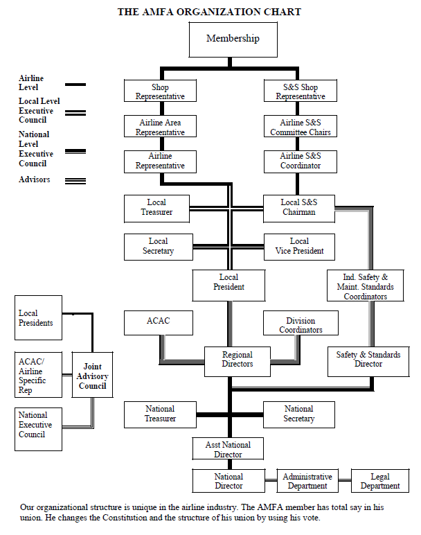 AMFA Organization Pyramid AMFA Organization Pyramid