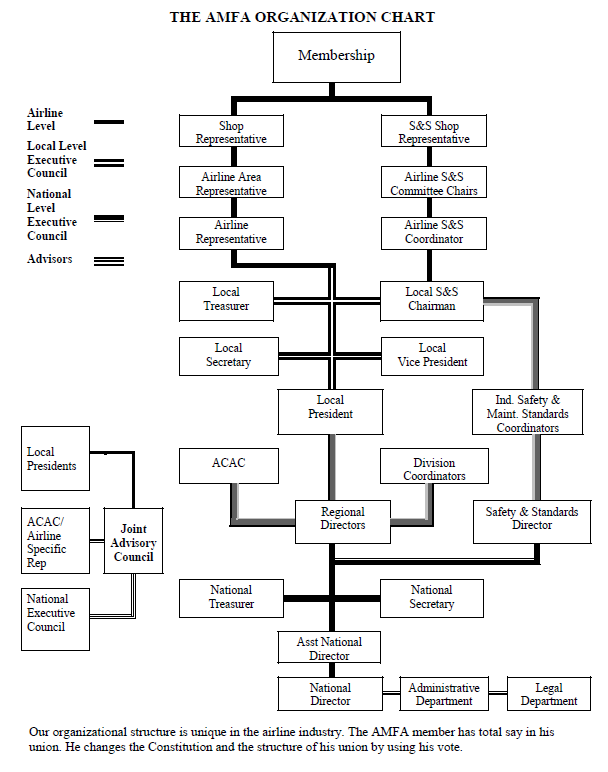 AMFA Organization Pyramid